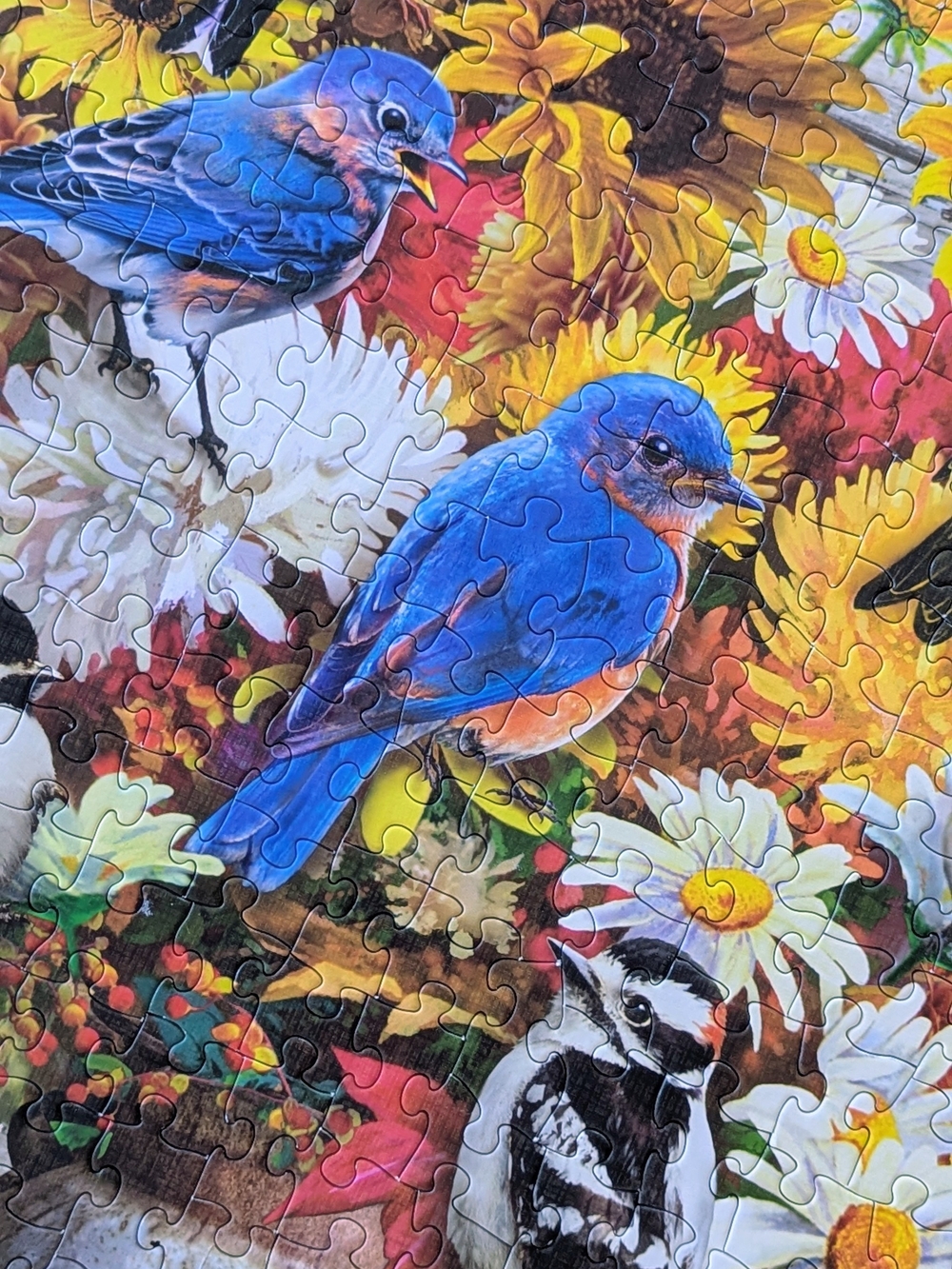 Cobble Hill Autumn Songbirds 500-Piece Puzzle - - Picture 3 of 7